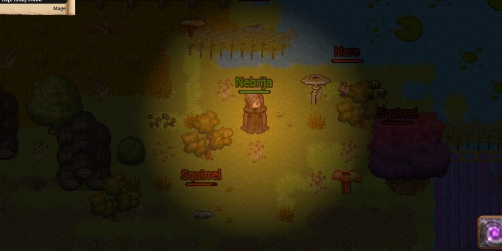 mushroom-picking-herodonia-indie-game-mmorpg-2024